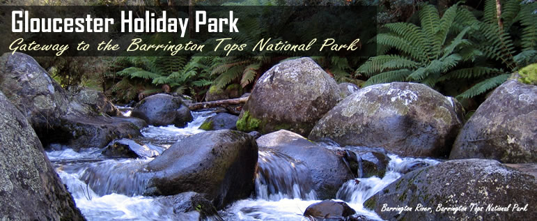 Gloucester Holiday Park, Cabins And Camping Holidays, Barrignton Tops National Park, Gloucester, NSW